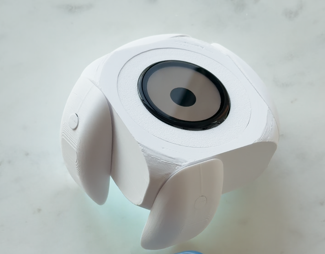 Circular robot with circular display